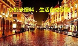 哈尔滨爆料新视频,揭秘背后惊人真相