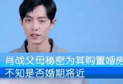 爆料肖战爸妈视频在线观看,揭秘明星家庭生活幕后